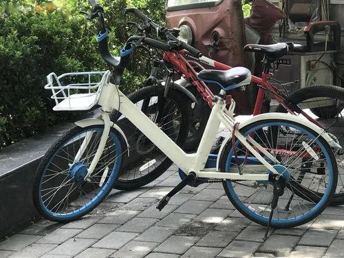 彭先生自行车最新爆料,颠覆传统设计,引领绿色出行新潮流 第3张 彭先生自行车最新爆料,颠覆传统设计,引领绿色出行新潮流 第3张